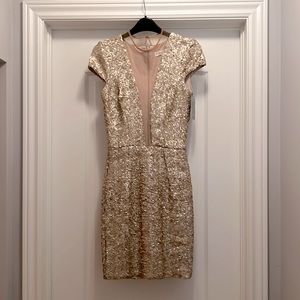 Dress The population @ Nordstrom. Elegant gold sequin dress. V neck.